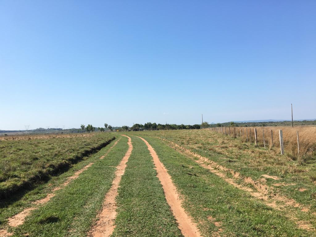 Campo Productivo de 90 Hectáreas en Venta – Ybycuí — foto 3
