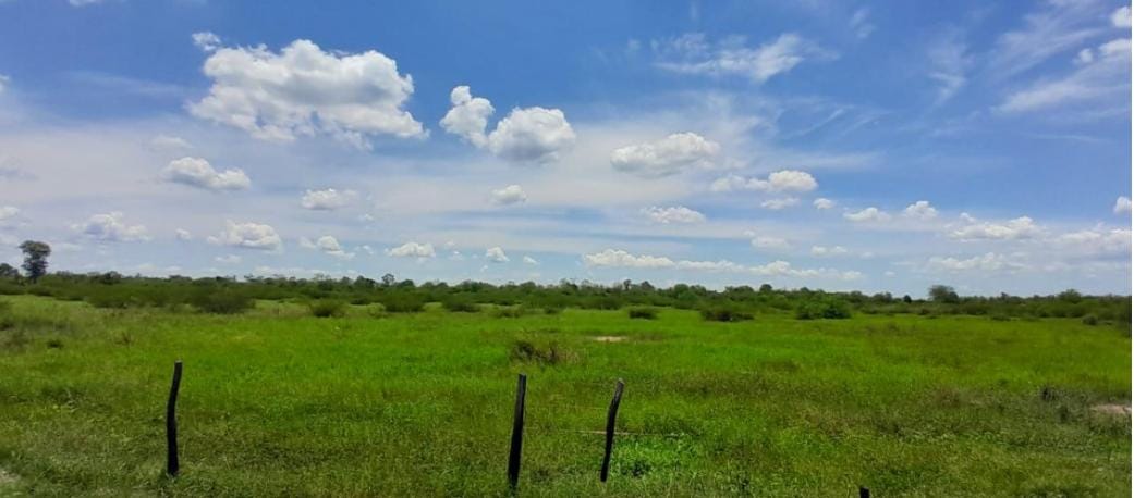 Vendo Estancia Ganadera de 18.904 Hectáreas, Zona Toro Pampa - CLCS7681344 — foto 3