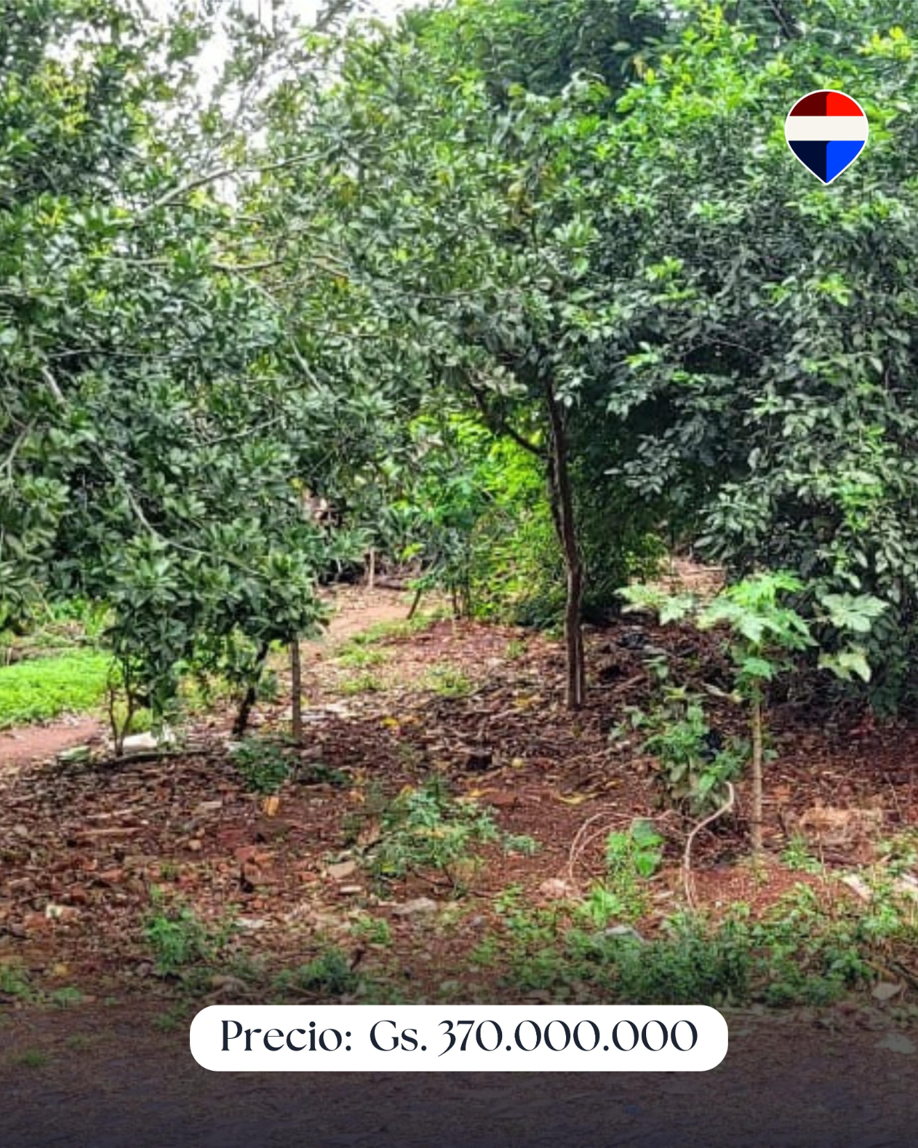 Terreno En Venta En Ciudad Del Este — foto 3