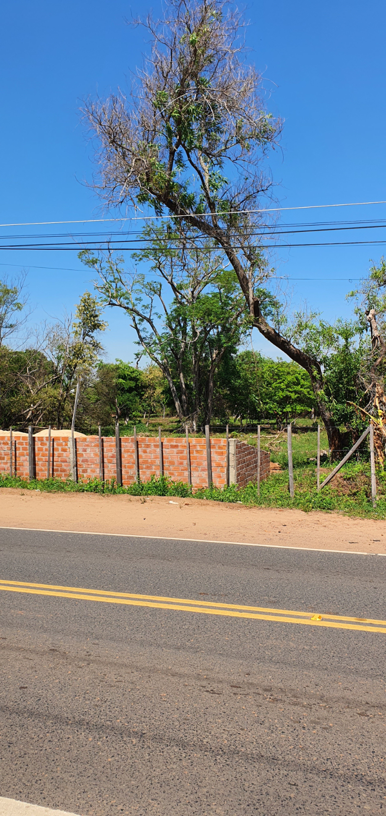 Vendo Terreno Regular PARA DESARROLLO DEPOSITOS O LOGISTICA COMERCIAL SOBRE Avenida San Jose Limpio Zona Trasitada RUTA LUQUE LIMPIO — foto 2
