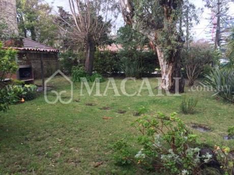 A Una Cuadra Del Mar Importante Jardín Dos Plantas