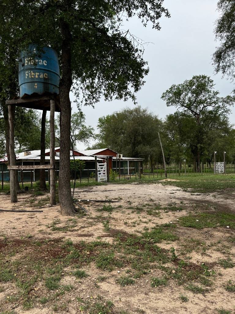 VENDO CAMPO EN FORTIN GENERAL BURGUEZ — foto 3