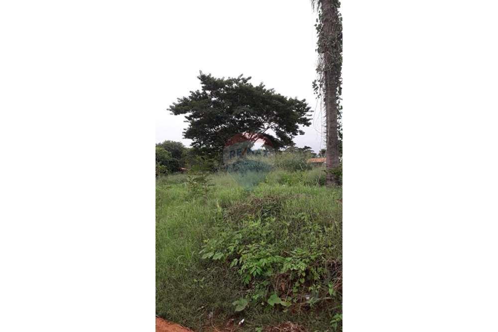 Terreno - Venta - San Lorenzo, Central, Paraguay — foto 2