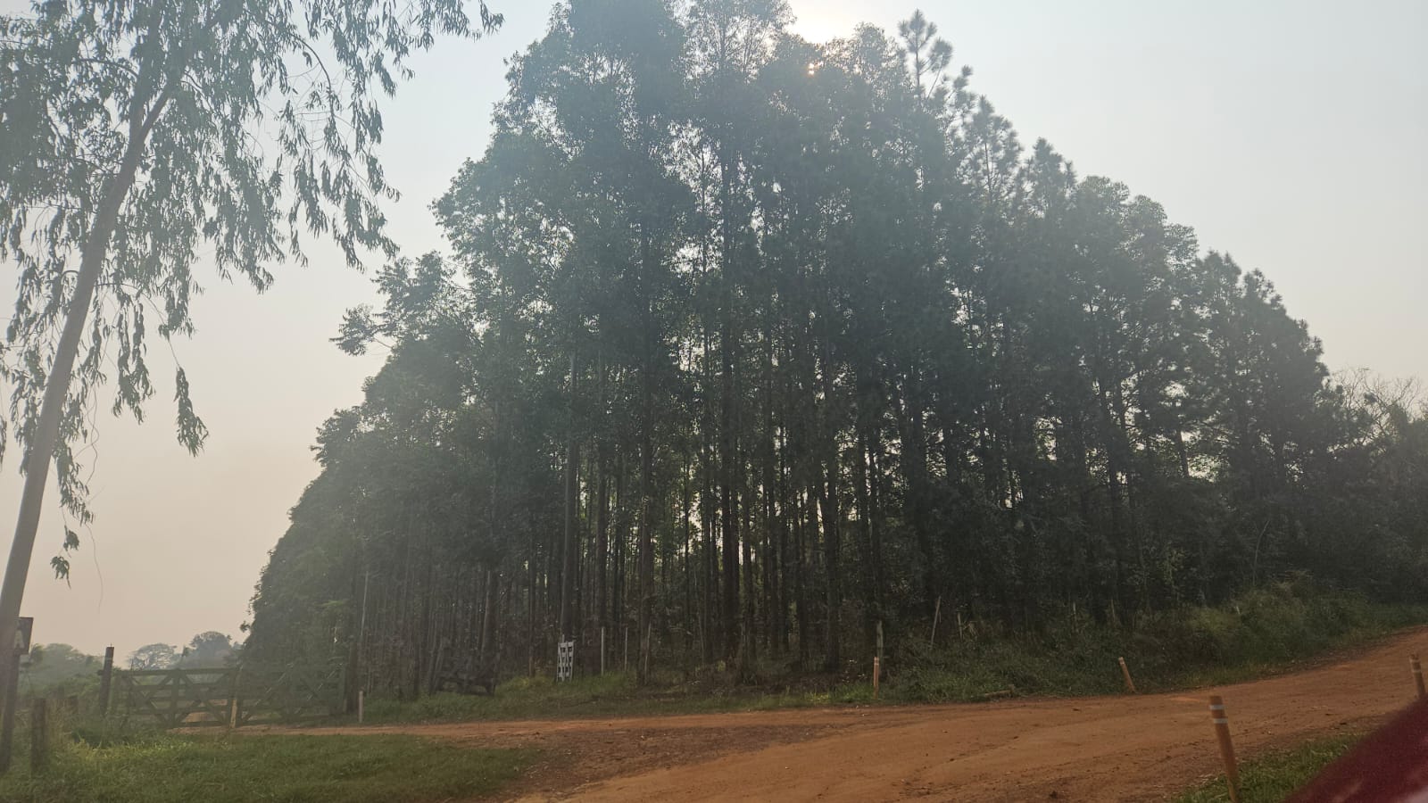 EN VENTA PROPIEDAD EN ITACURUBI DE LA CORDILLERA CON ARROYO - 55 Hectáreas — foto 2
