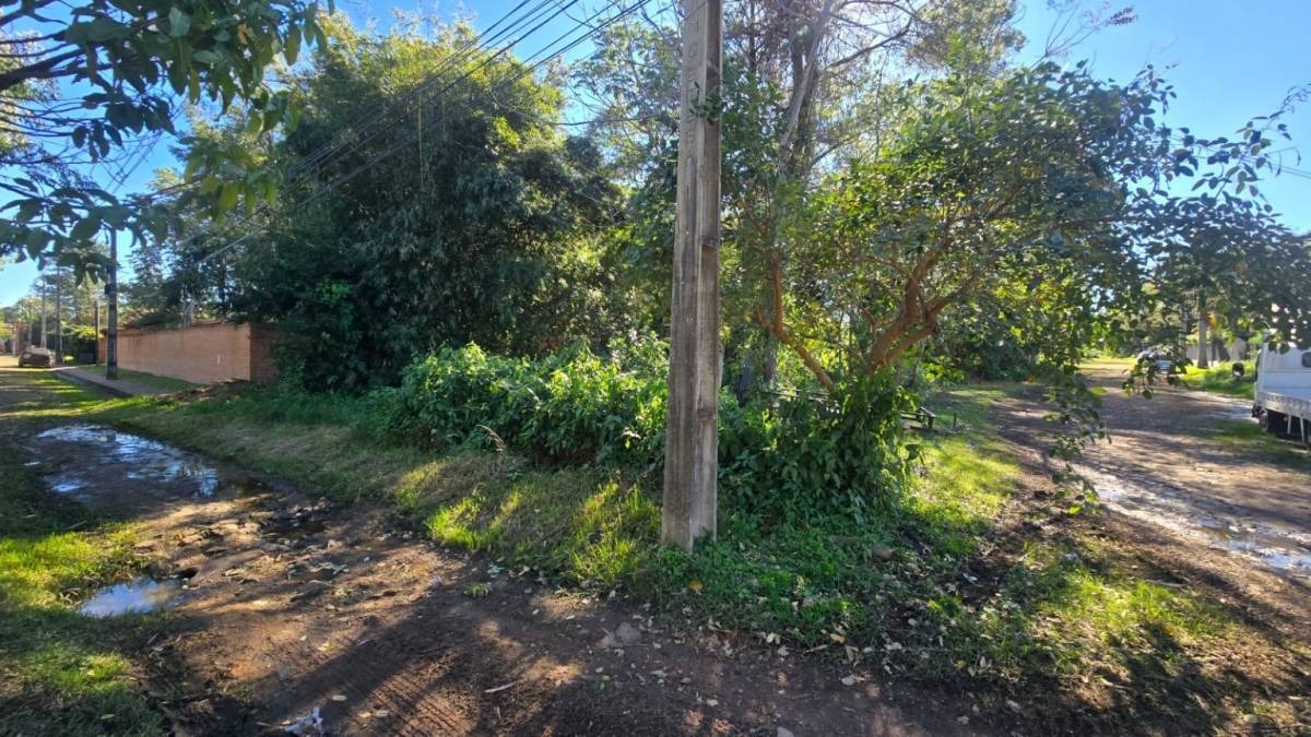 En esquina y sobre ruta vendo excelente terreno . — foto 2