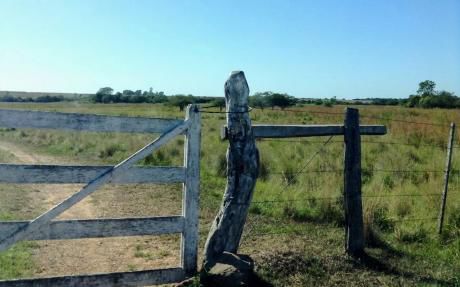 Campo De 1178 Hectares En Naranjal
