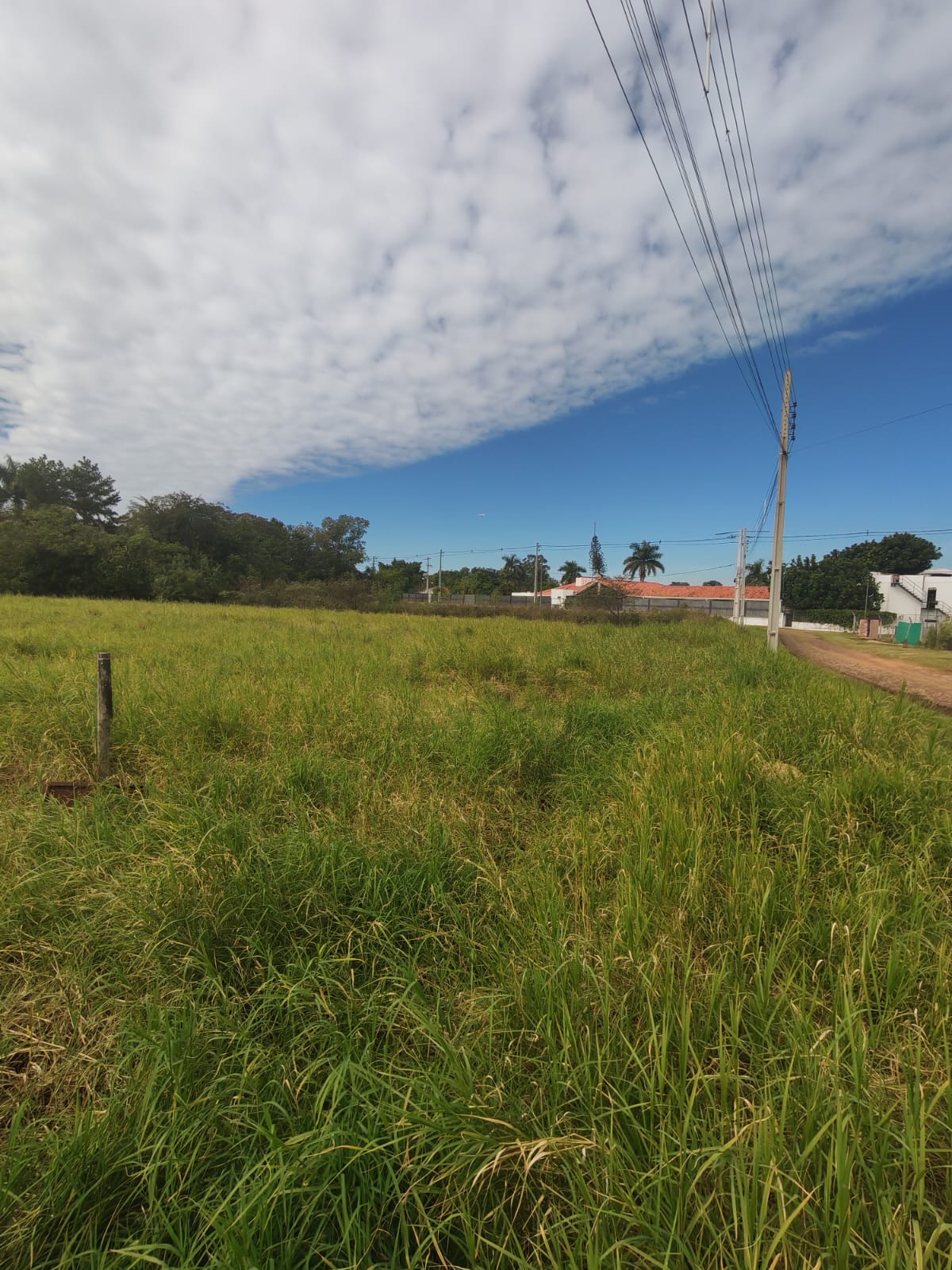 Terrenos a 50 metros del Lago Ypacaraí — foto 2
