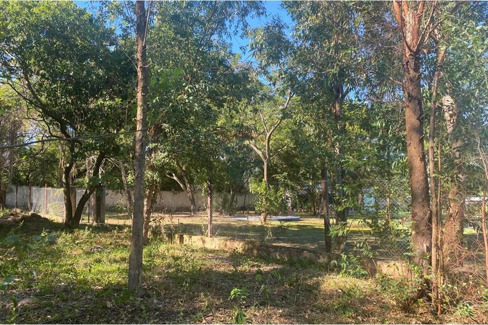 Terreno-Venta-Rodriguez de Francia, San Bernardino, Cordillera — foto 2
