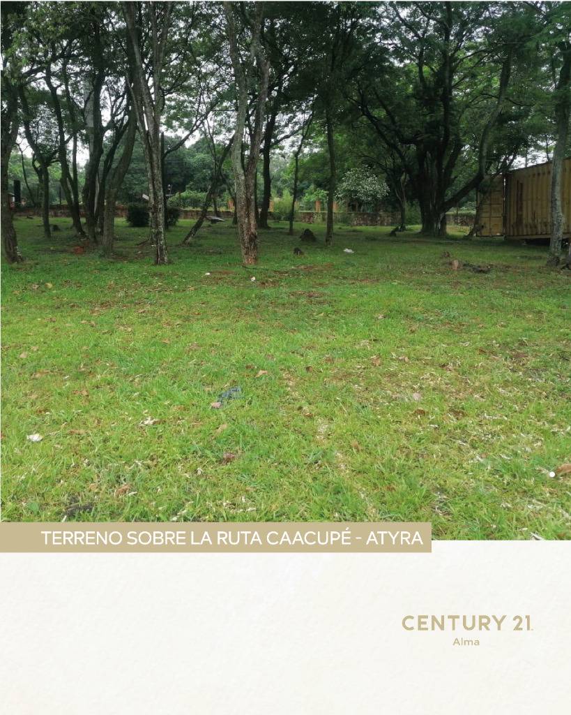 Terreno 3 ha Caacupe  TERRENO EXCLUSIVO SOBRE RUTA CAACUPÉ – ATYRÁ — foto 2