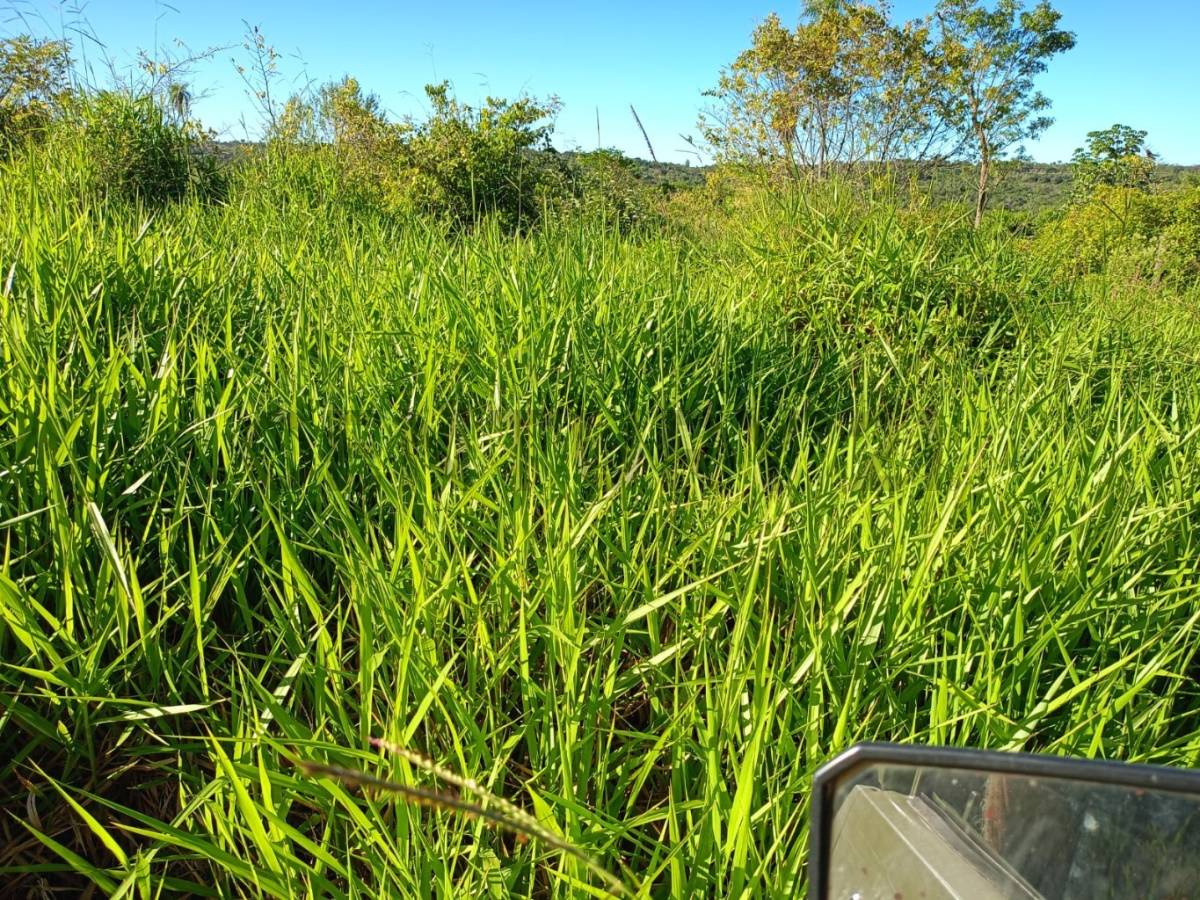Venta de Estancia/Ganadera en Caapucú, Paraguarí — foto 2