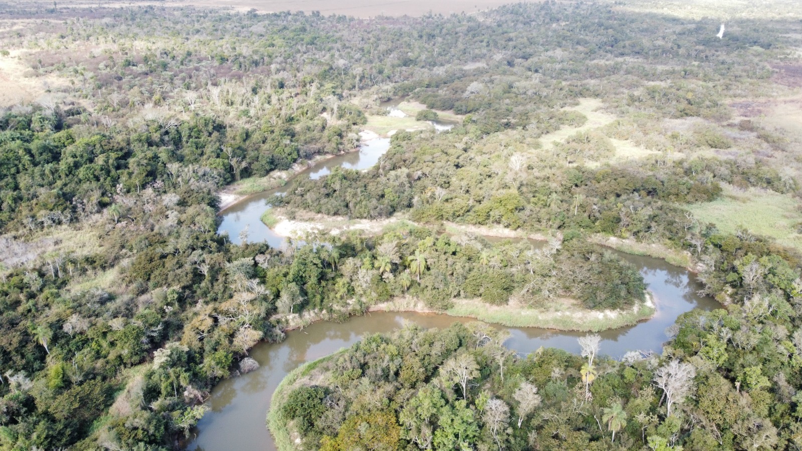 En venta campo de 1.001 hectáreas productivas en curuguaty — foto 3