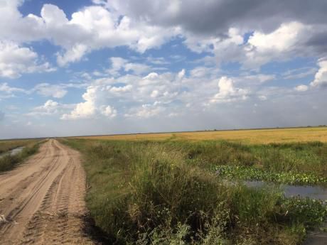 Vendo 1.600 Hectareas Para Arroz En Paraguay! Misiones.