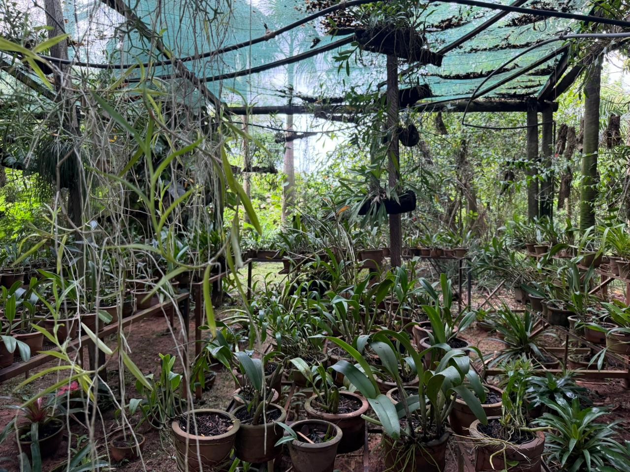 Granja De 15 Ha En Nueva Italia: Refugio Natural Con Arboles Frutales Y Nativos — foto 2