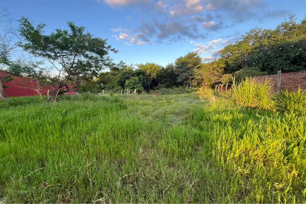VENDO TERRENO EN CAPIATA — foto 3