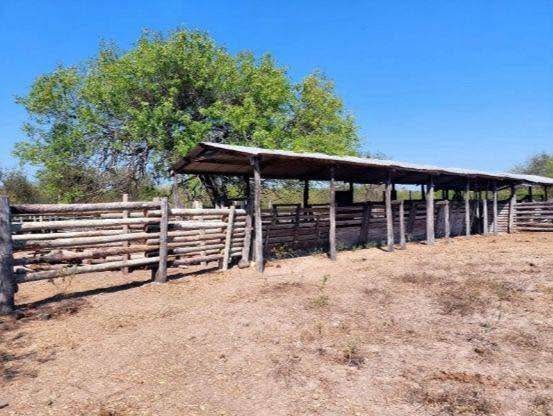 Vendo Estancia – Chaco Paraguayo — foto 2