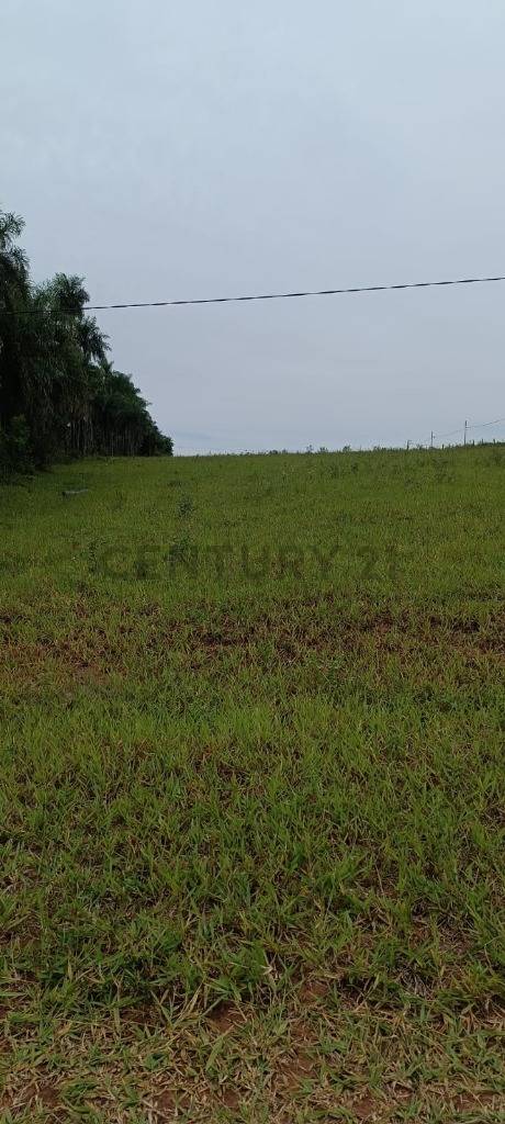 Venta de Terreno en Pirebebuy, Cordillera — foto 3