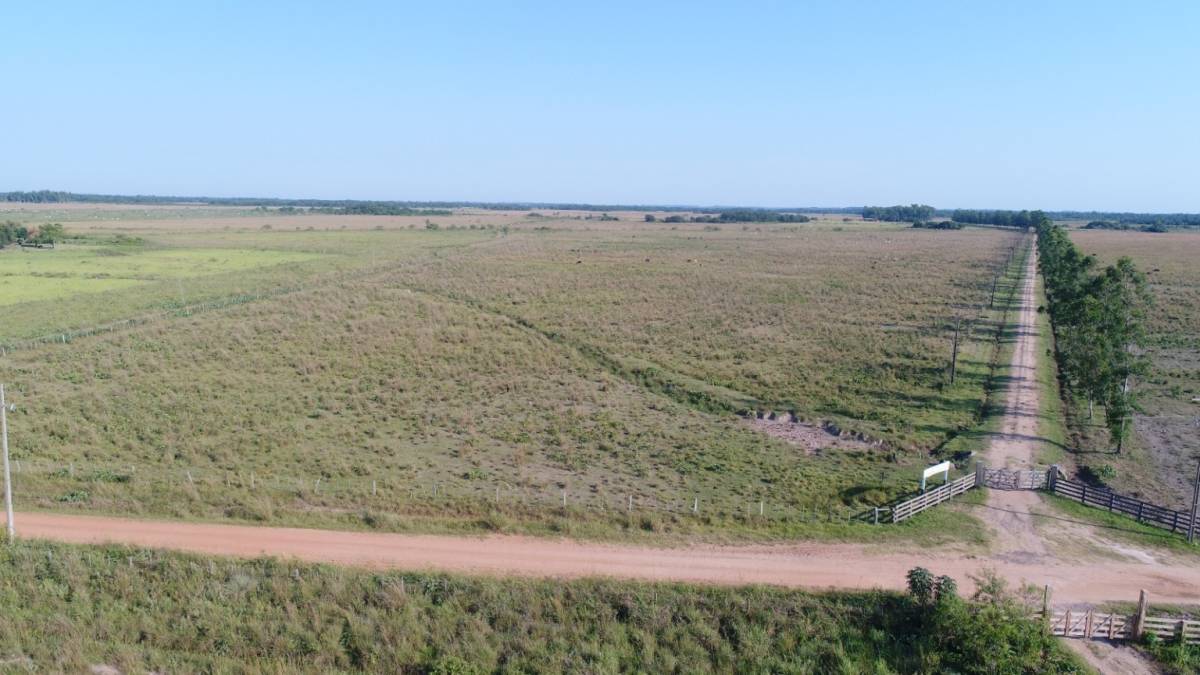 VENTA - Estancia ganadera 2.135 ha en producción - 25 de Diciembre, San Pedro — foto 3