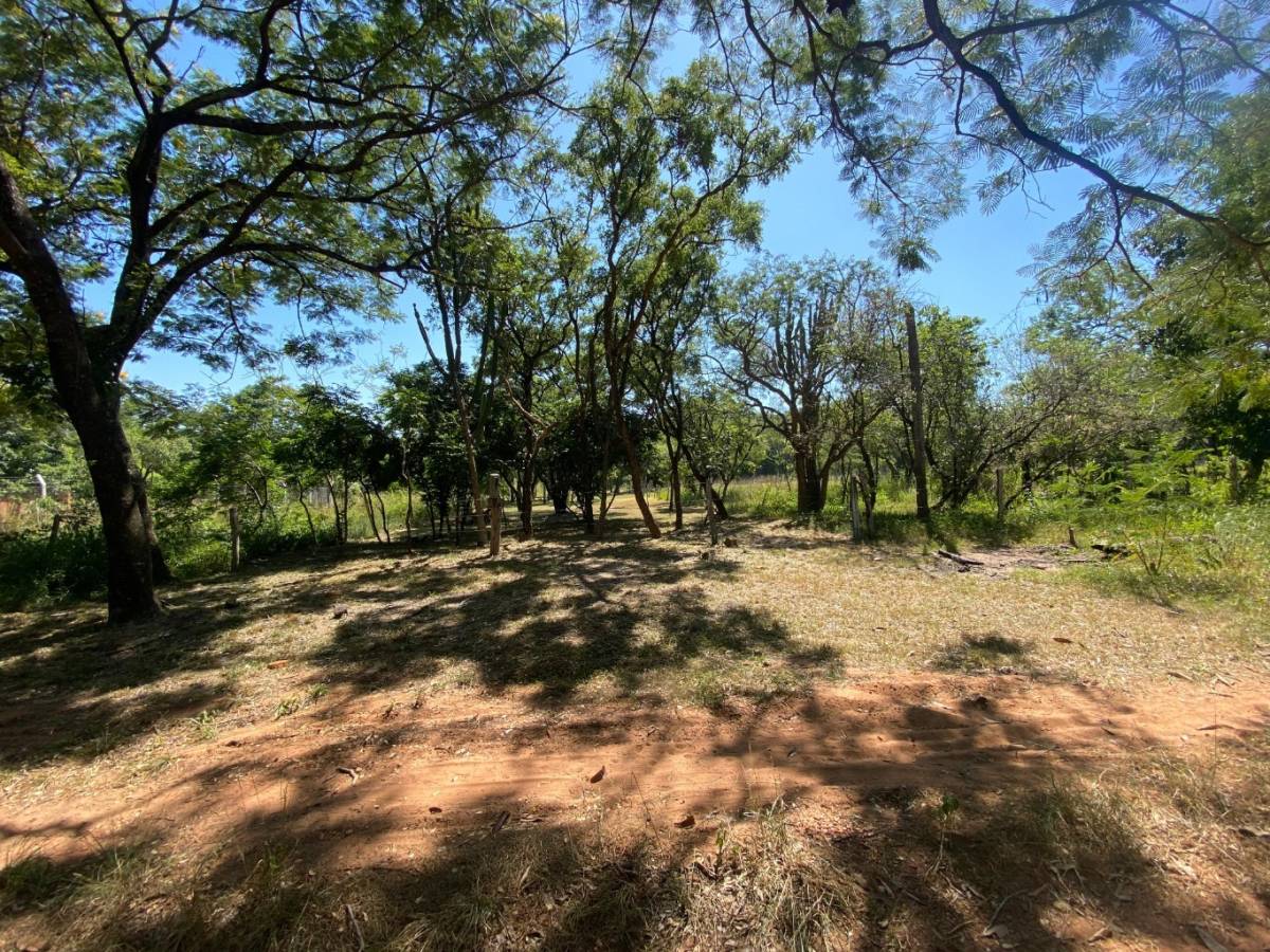 VENDO TERRENO EN SAN BERNARDINO CIERVO CUA — foto 2