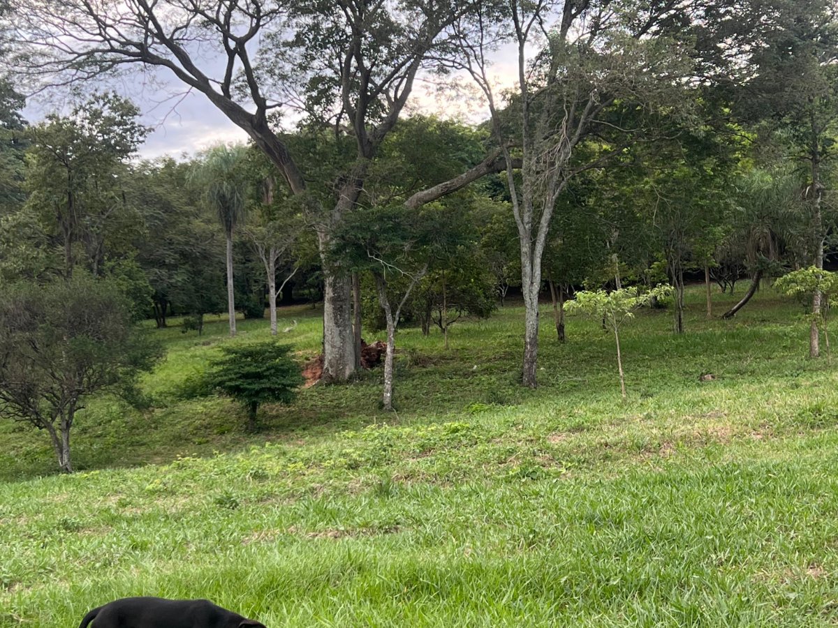 VENDO TERRENO EN BARRIO CERRO REAL CAACUPÉ — foto 3