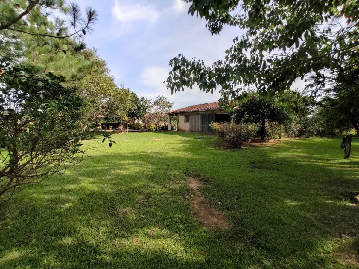 HERMOSA CASA QUINTA, CON 12 HAS DE TERRENO EN VENTA, BORJA (GUAIRA) — foto 2