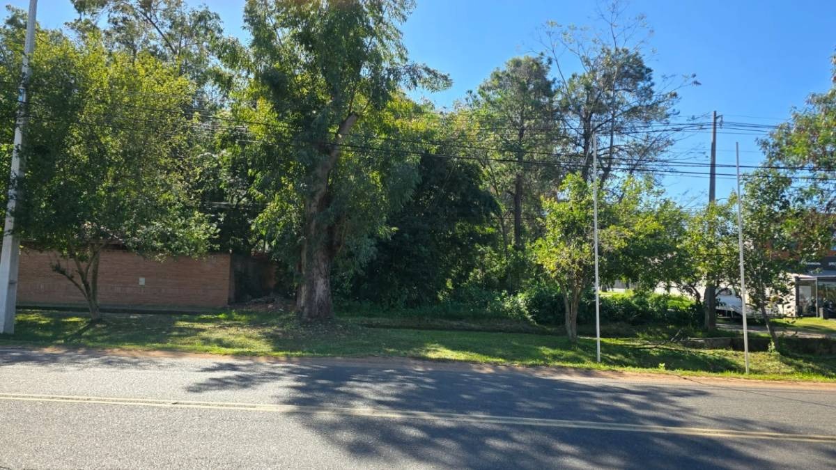 En esquina y sobre ruta vendo excelente terreno . — foto 3