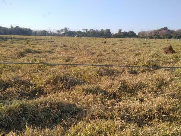 ¡OPORTUNIDAD! 5 HECTÁREAS EN ARROYOS Y ESTEROS – ZONA ALTA Y CON GRAN POTENCIAL — foto 2