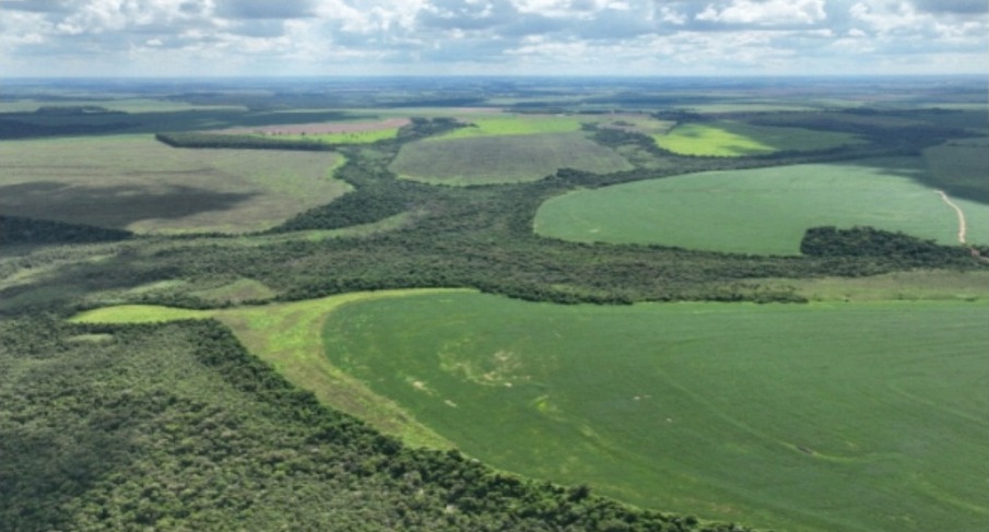 Vendo Campo de 1.223 Hectáreas en Santa Rita, Alto Paraná-CLCS5526165 — foto 2