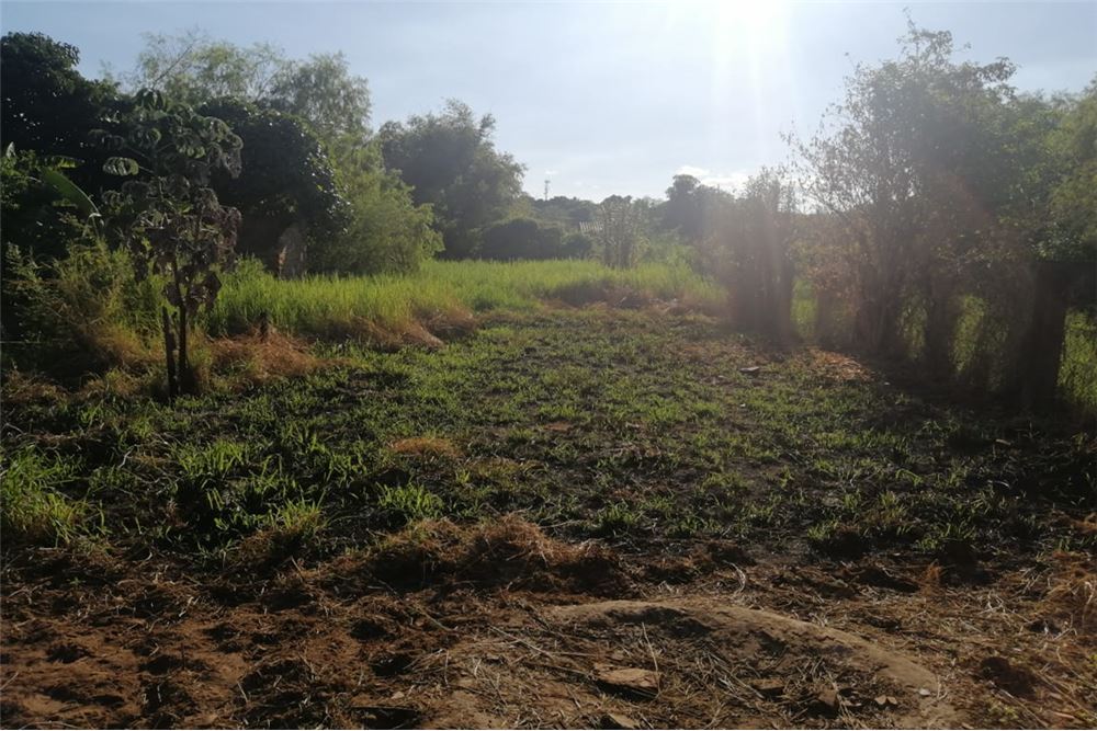 TERRENO EN VENTA EN EL CENTRO DE TOBATI — foto 2