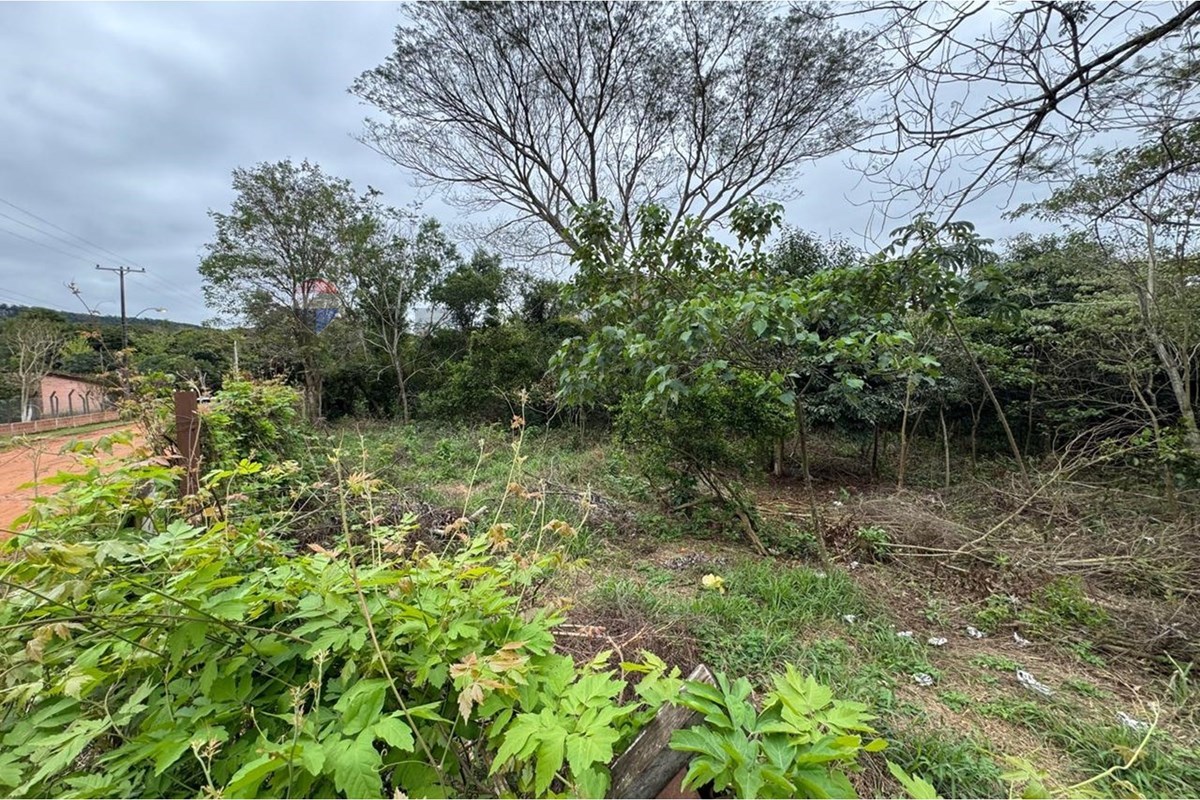 Terreno - Venta - Caacupé, Cordillera, Paraguay — foto 3