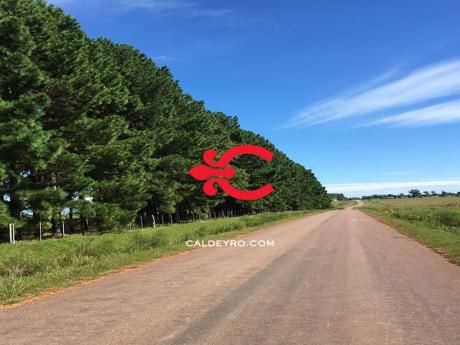 Campo En Durazno. Ref: 5211-qq