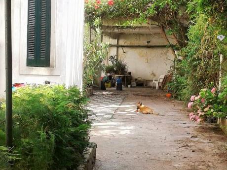 En El Corazón Del Prado, Casa De Estilo, A Reciclar