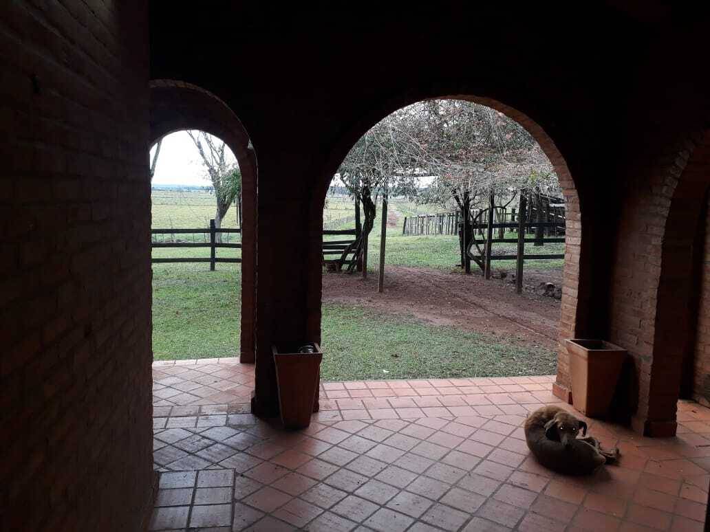 VENDO ESTANCIA EN SAN PEDRO DEL PARANÁ DE 80 HECTÁREAS — foto 2