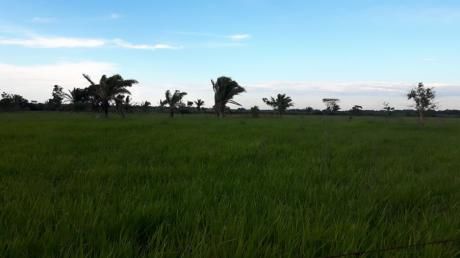 Para Comercio - Propiedad Portachuelo