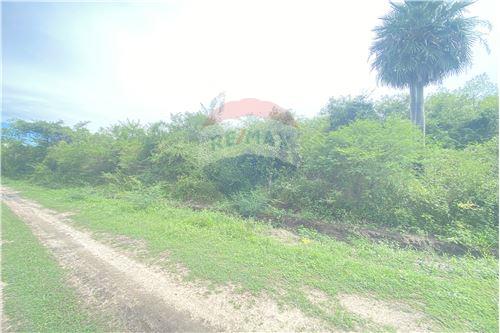 TERRENO EN VENTA, VILLA HAYES — foto 3