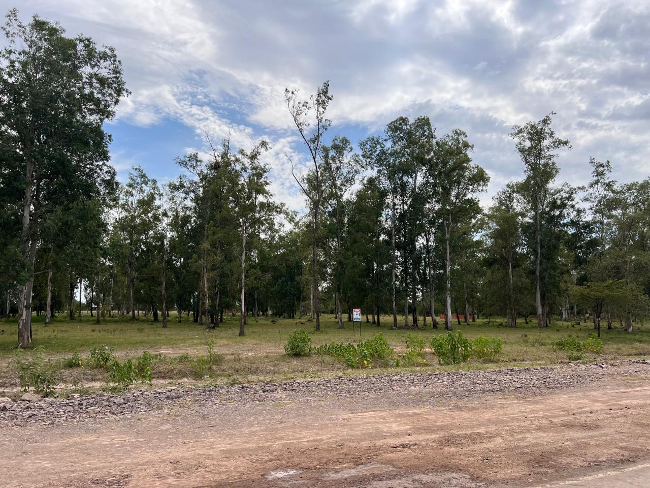 Terreno 600 M2 Chacoi - Ruta 12 — foto 3
