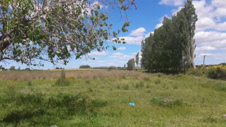 Vendo Campo