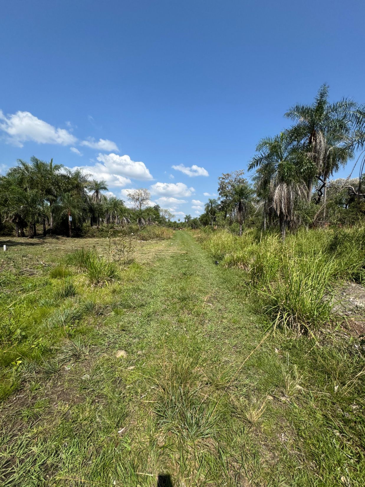 VENDO TERRENO EN SANBER ZONA CIERVO CUA — foto 3
