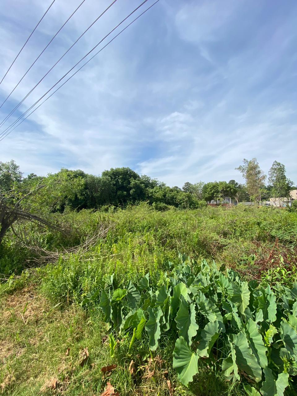 VENTA DE AMPLIO TERRENO EN SAN BERNARDINO — foto 3