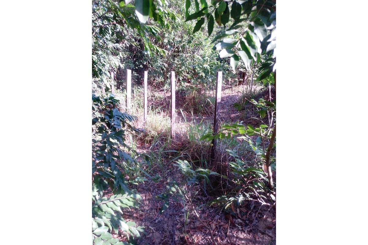 Terreno-Venta-PY 18, La Colmena, Paraguarí — foto 3