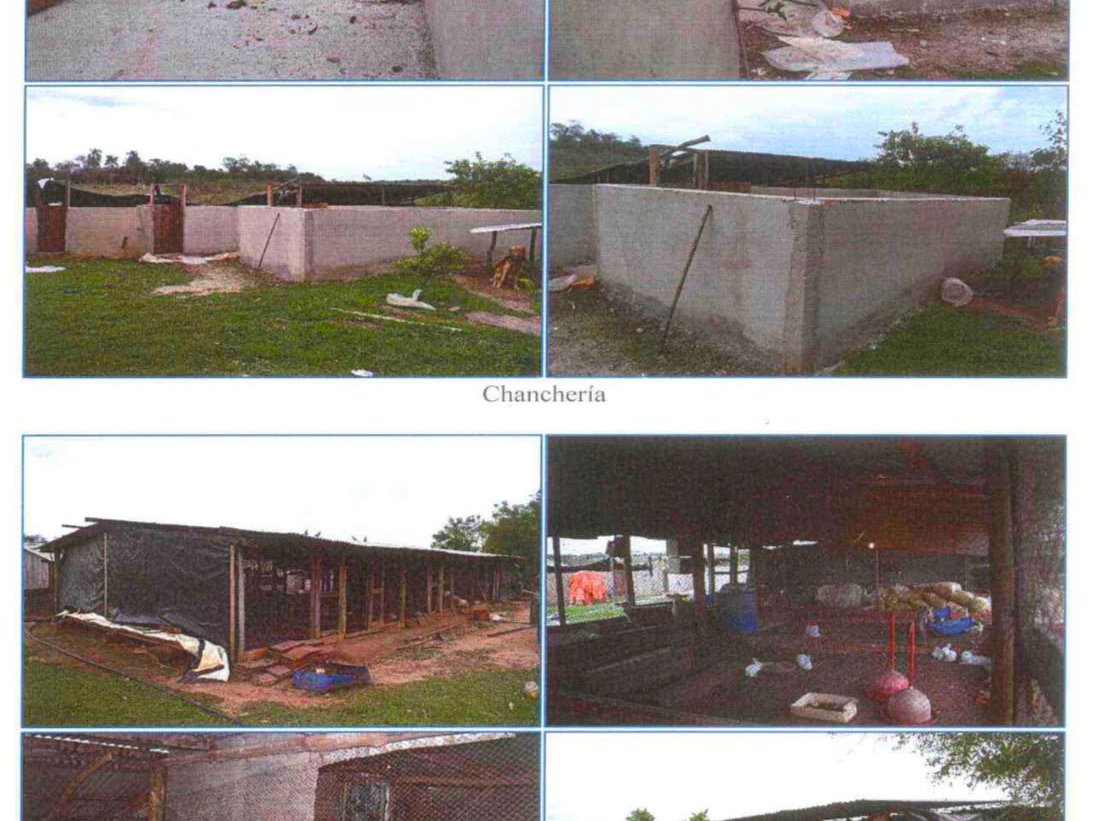 VENDO GRANJA EN PRODUCCION EN CAAGUAZU, J.D. OCAMPOS — foto 3