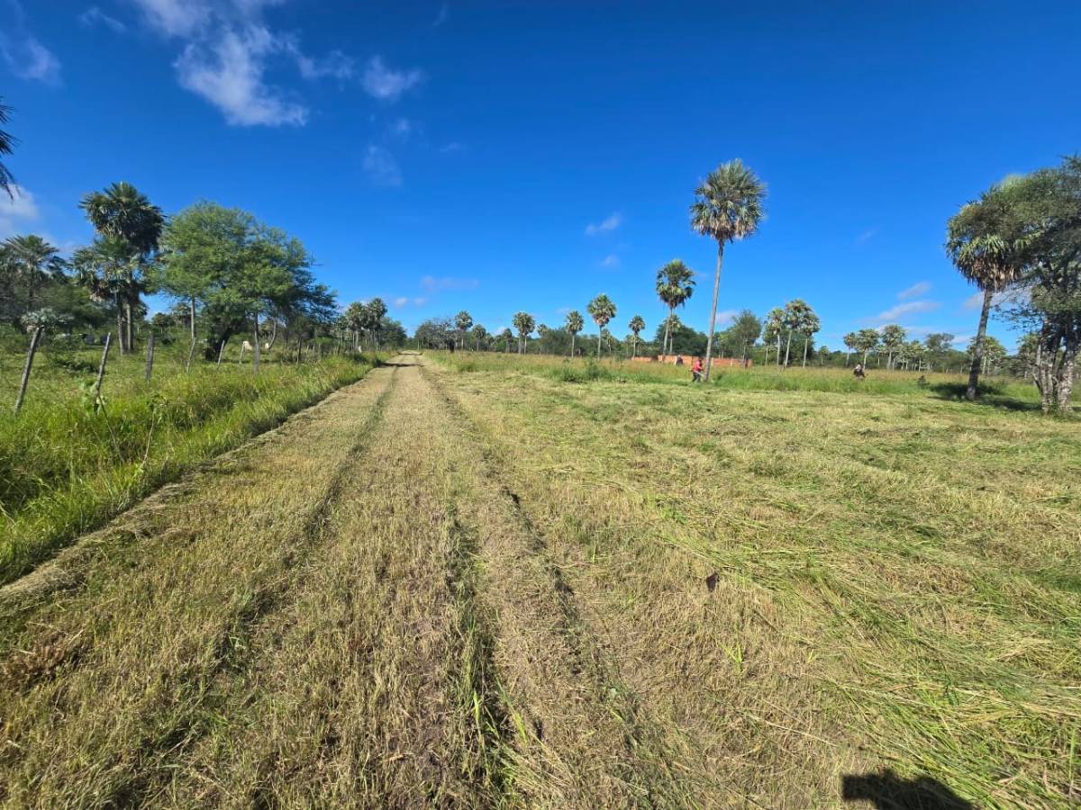 TERRENOS EN JOSE FALCON — foto 3