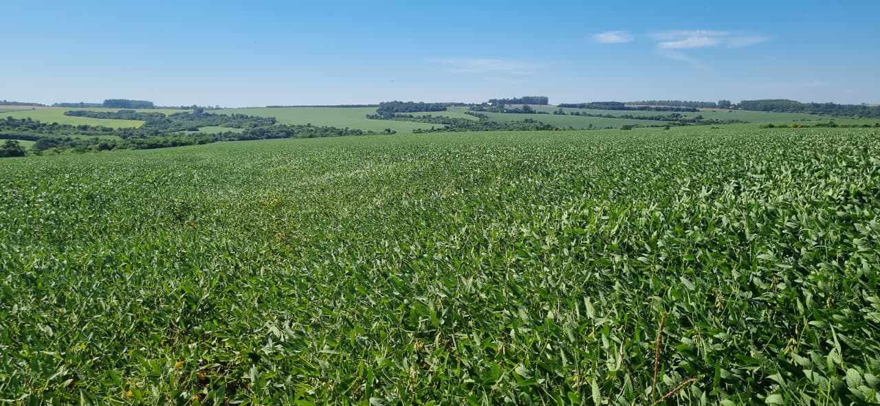 VENDO PROPIEDAD AGRICOLA EN CAPITAN MEZA ITAPUA — foto 2