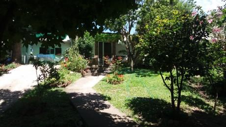 Americana En Gran Padrón único.