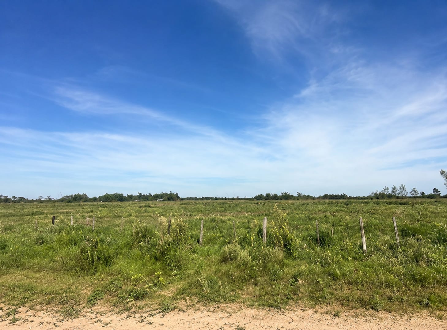 Vendo Campo Agrícola en Venta en Abaí | 19,9 Ha | Ideal para Producción — foto 2