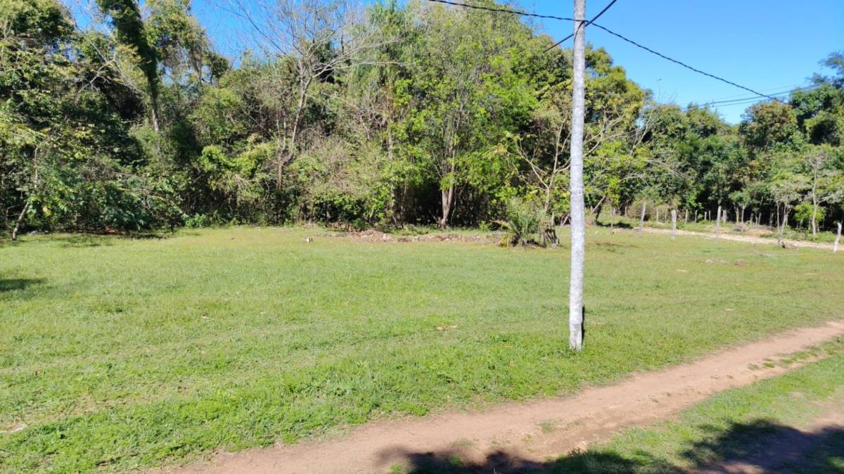 EN VENTA TERRENO EN SAN BERNARDINO CIERVO CUA — foto 3