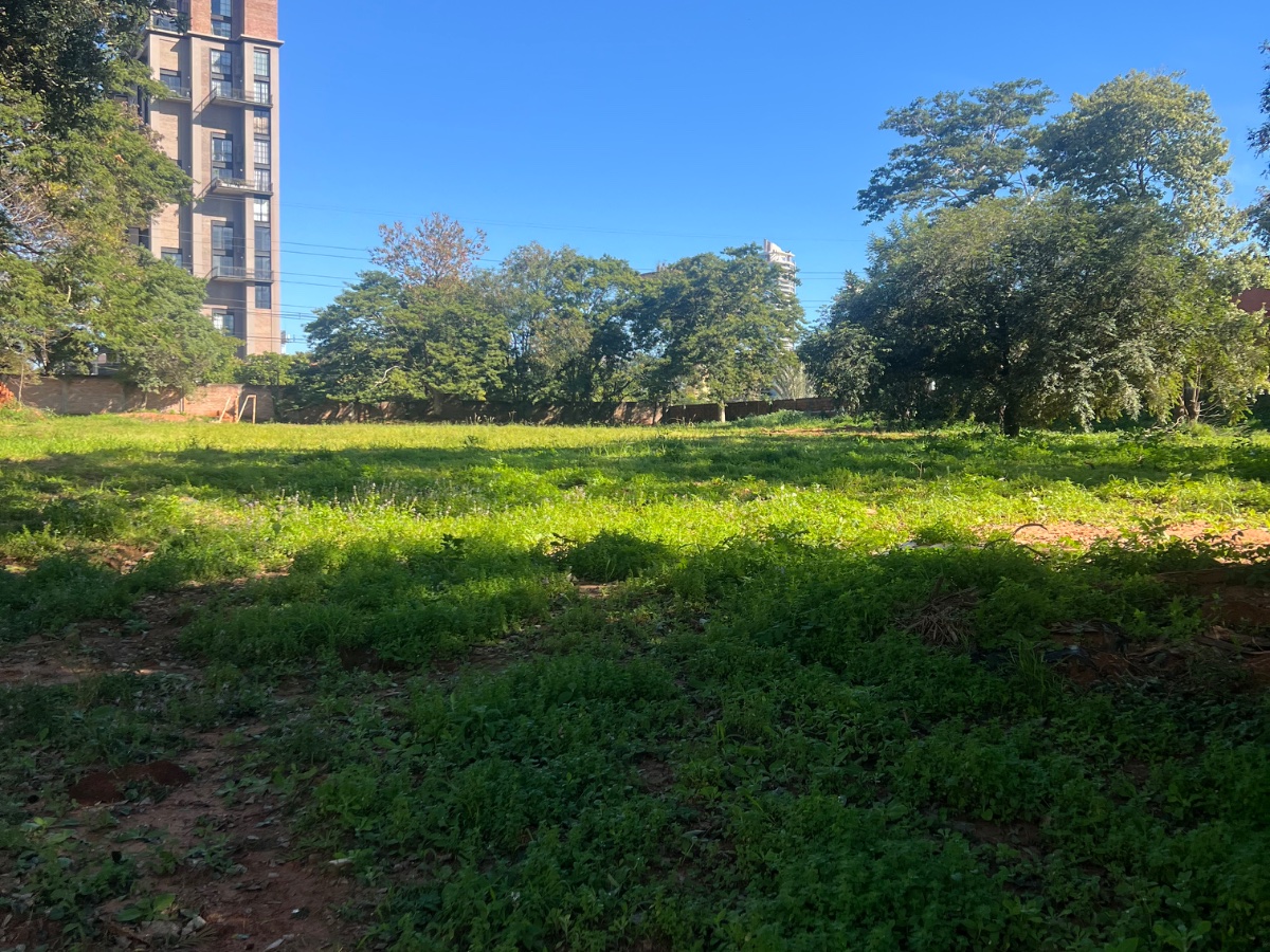 Alquilo terreno de 6800m2 sobre Primer Presidente! — foto 3
