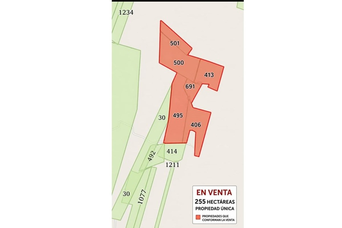 255 HECTÁREAS CON POTENCIAL GANADERO Y PRODUCTIVO, ÑEEMBUCÚ — foto 3