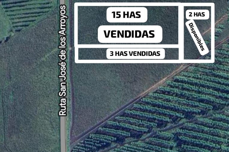 Vendo 2 hectáreas en San José De Los Arroyos — foto 3