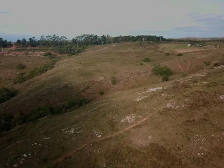 Campo A La Venta 5 Hás Ruta 60 Km 45