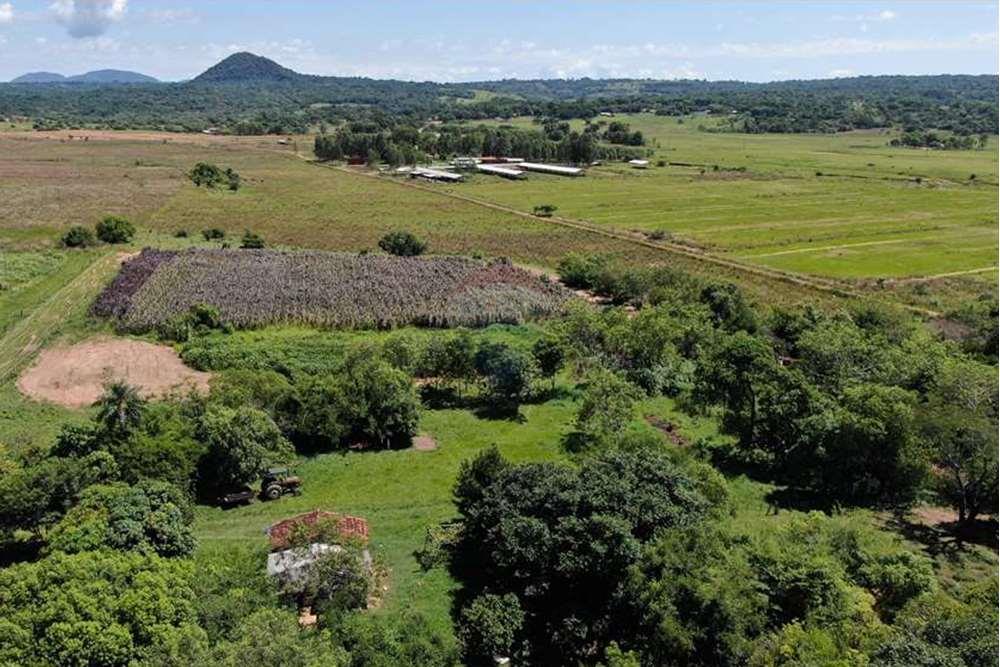 Estancia/Campo - Venta - Paraguay Paraguarí Quiindy — foto 2